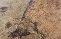 puddle on rock by greg misarti