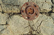 rusted weed by greg misarti