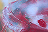 Detail of Mark Gosbee Painting