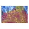 Optical Treasures shot by greg misarti