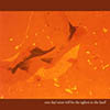photo of orange basement floor with water