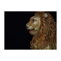lion profile