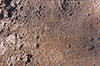 photo gpmisarti