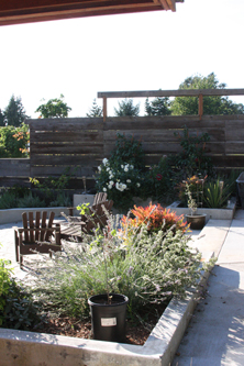 Reclaimed Cedar Fence Walls in the Patio