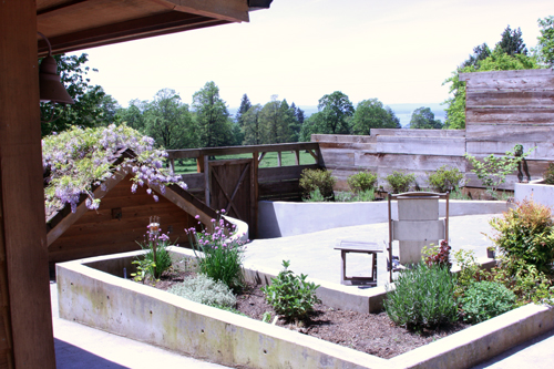 Patio with "L" shaped bed and clovers